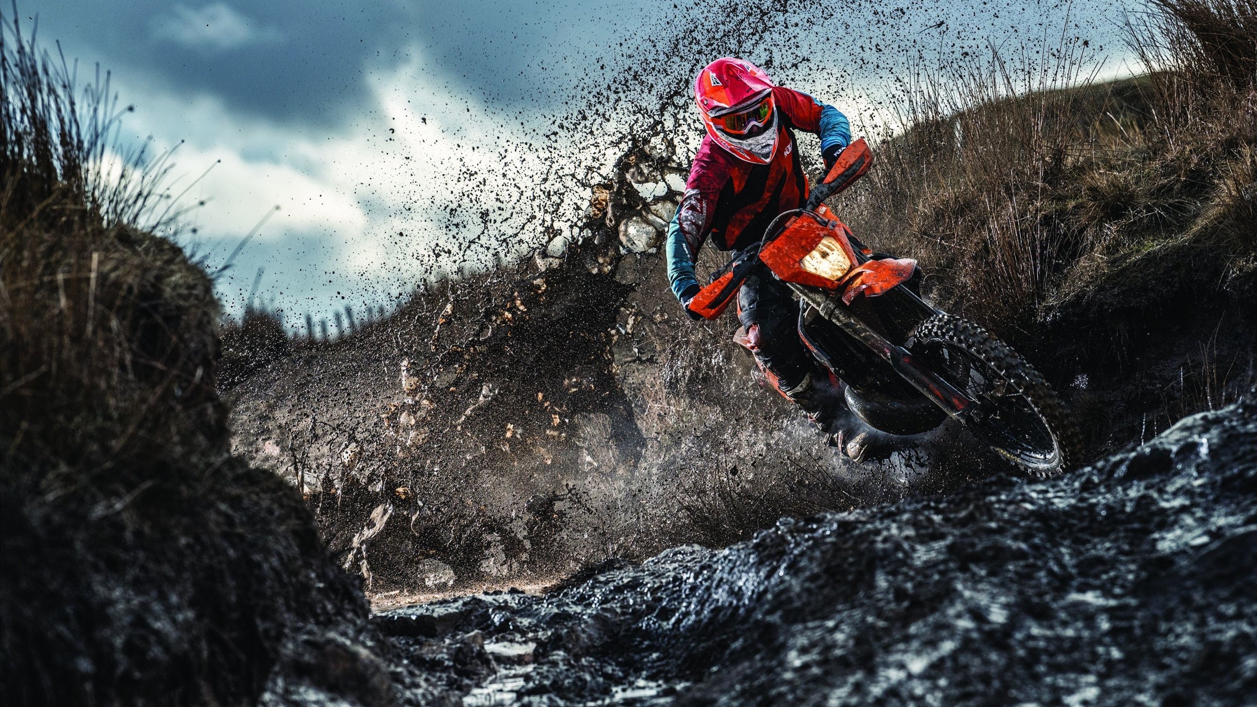 穆雷回归赛场，战术调整首场状态亮眼，皇家马德里观众沸腾！-爱游戏在线注册